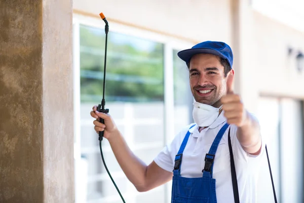 La Habra Wasp Removal