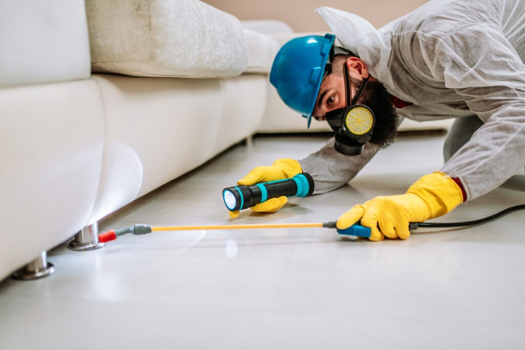 La Habra Termite Control