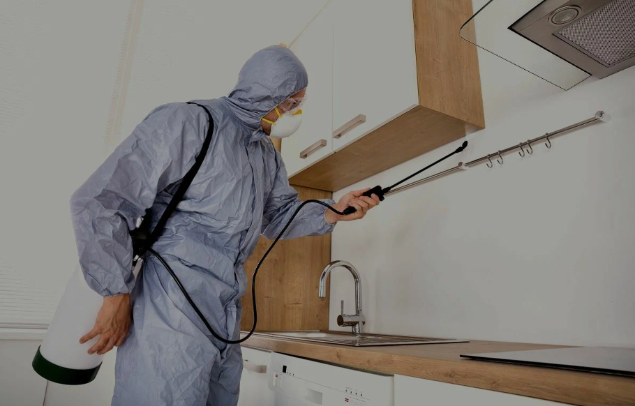 La Habra pest managment